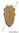 Trophäenbrettchen für Rehbock 21x12cm Eiche dunkelbraun ohne Kieferfach (C051d)